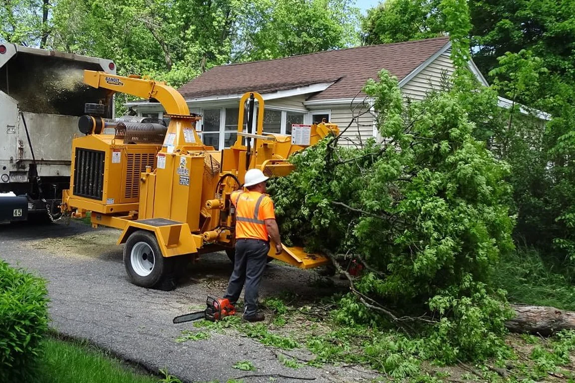 Tree-service equipment and cut branches beside a driveway
